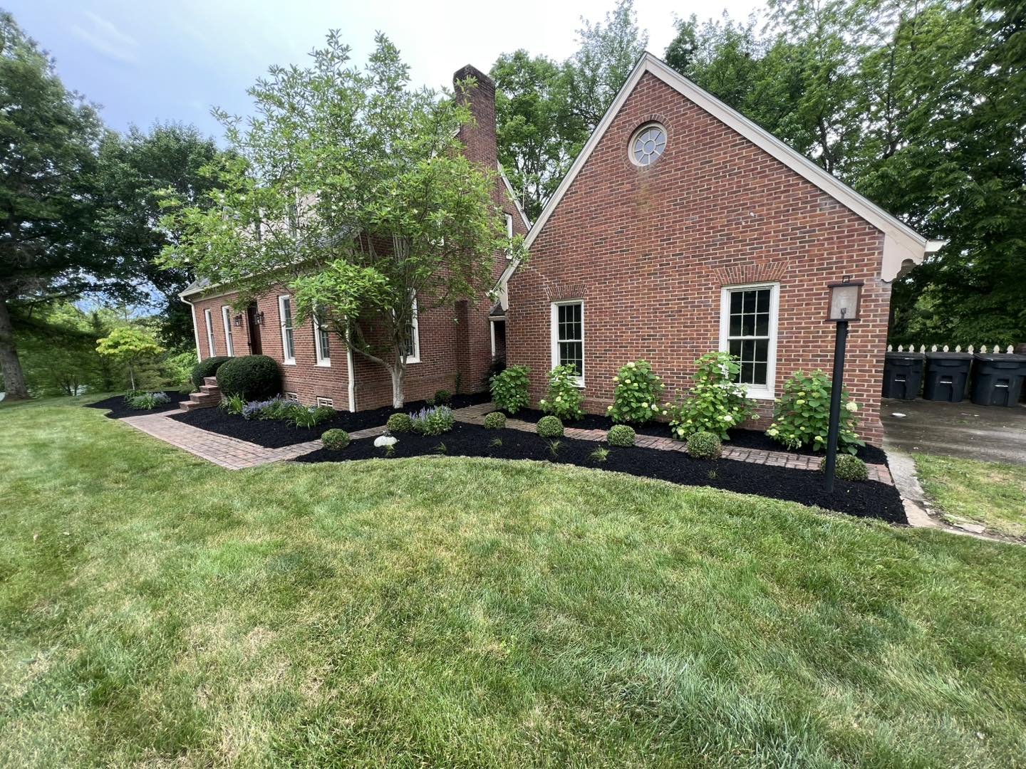 A lush mulched landscape bed with hydrangeas alongside a brick home